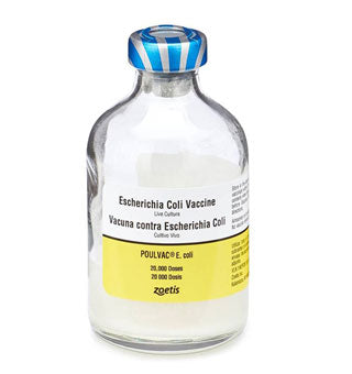 Escherichia coli vaccine bottle