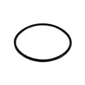 Black rubber O-ring on white background