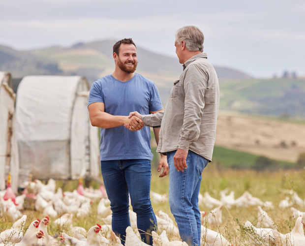 Two men shaking hands on farm.
