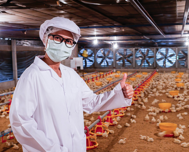 Woman in poultry farm giving thumbs up.