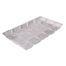 Empty clear plastic food tray