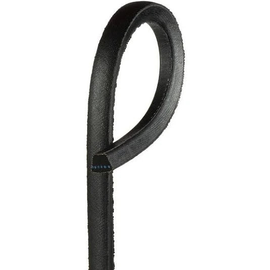 Black leather whip handle close-up