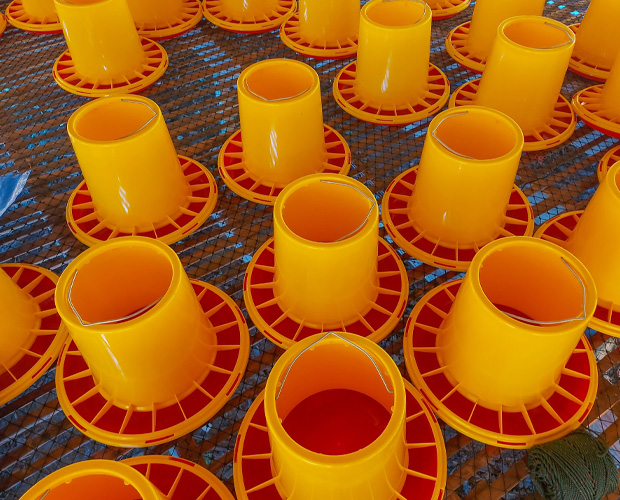 Bright yellow feeding containers arranged neatly